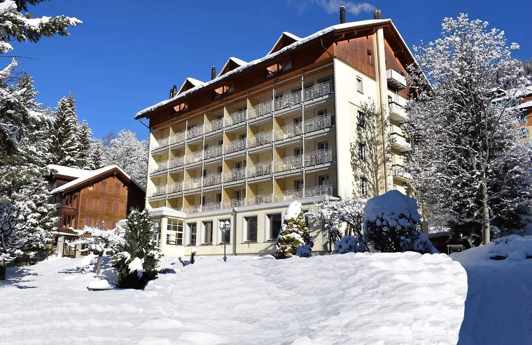 Hotel Wengener Hof-1